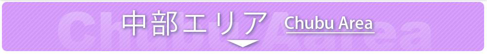 中部